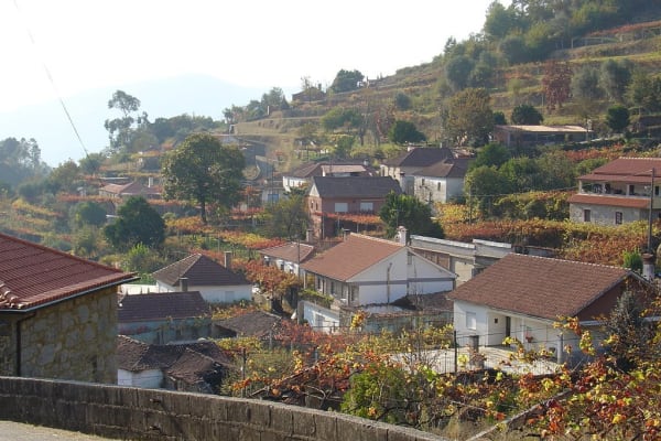 Foto 52 da atividade Galeria de Fotos