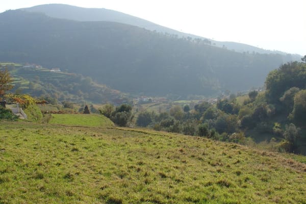 Foto 45 da atividade Galeria de Fotos