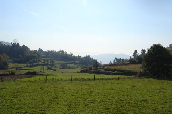 Foto 41 da atividade Galeria de Fotos