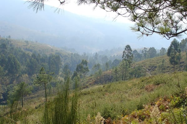 Foto 40 da atividade Galeria de Fotos