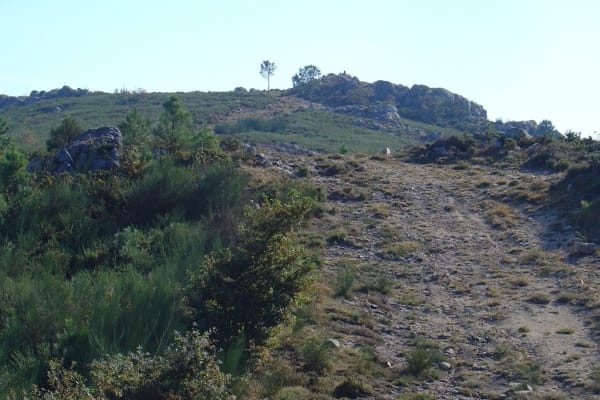 Foto 20 da atividade Galeria de Fotos