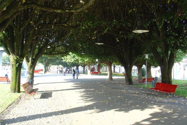 Foto 193 da atividade Galeria de Fotos