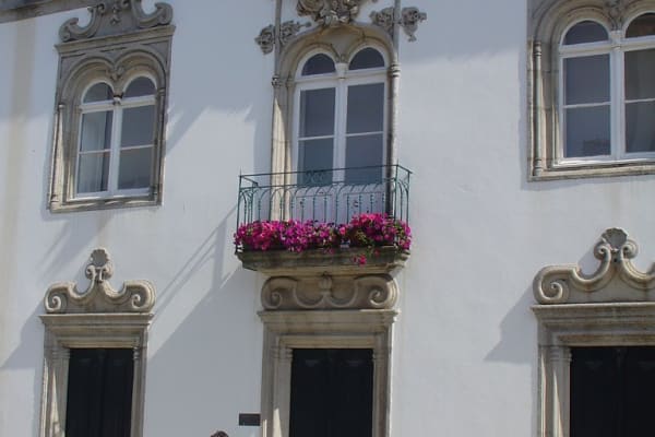 Foto 54 da atividade Galeria de Fotos