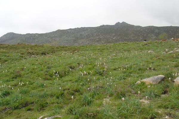 Foto 78 da atividade Galeria de Fotos