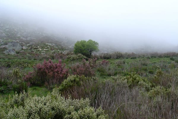 Foto 74 da atividade Galeria de Fotos