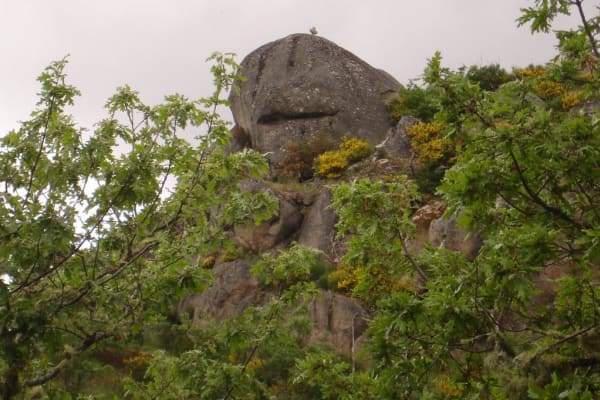 Foto 55 da atividade Galeria de Fotos