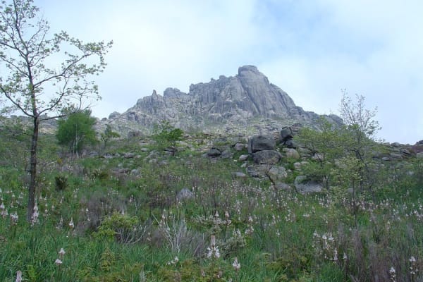 Foto 52 da atividade Galeria de Fotos