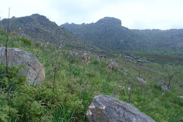 Foto 51 da atividade Galeria de Fotos