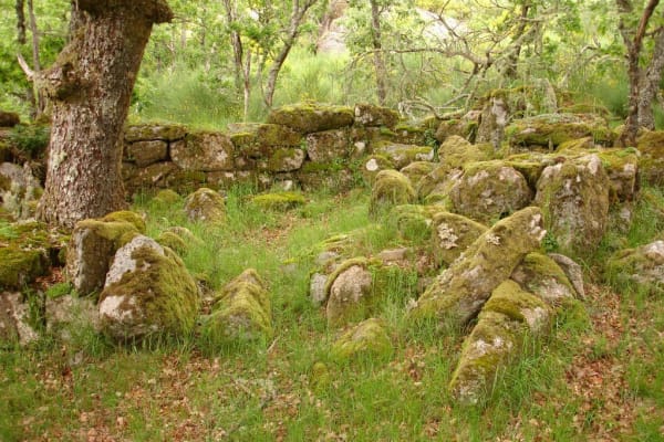 Foto 40 da atividade Galeria de Fotos