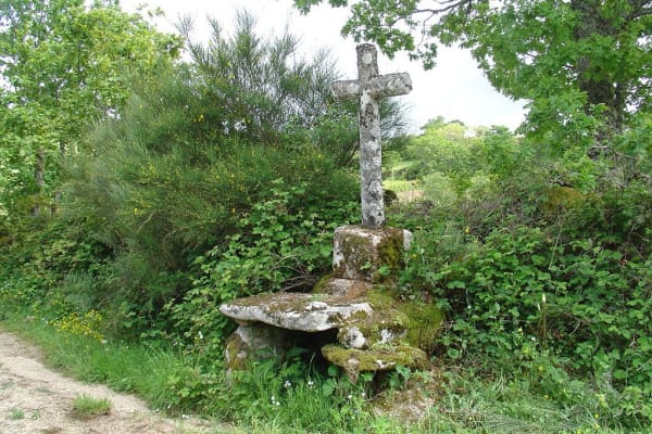 Foto 25 da atividade Galeria de Fotos