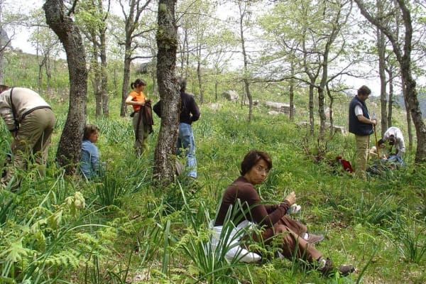 Foto 24 da atividade Galeria de Fotos