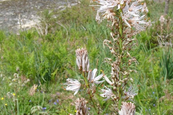 Foto 10 da atividade Galeria de Fotos