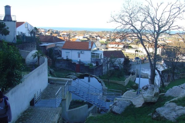 Foto 74 da atividade Galeria de Fotos