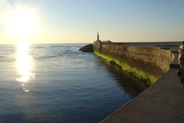 Foto 52 da atividade Galeria de Fotos