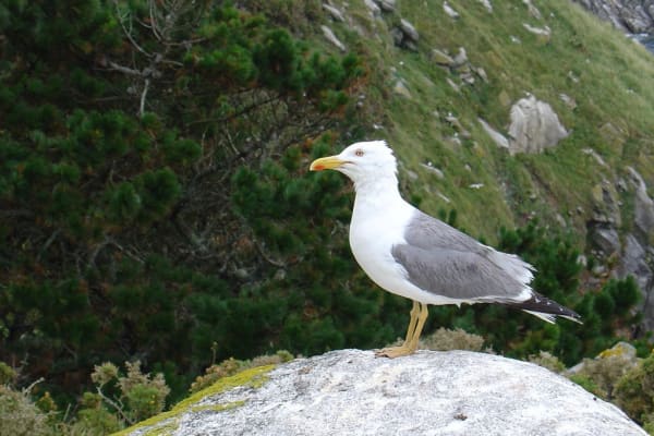 Foto 82 da atividade Galeria de Fotos