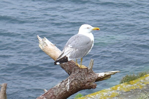 Foto 74 da atividade Galeria de Fotos