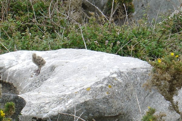 Foto 40 da atividade Galeria de Fotos