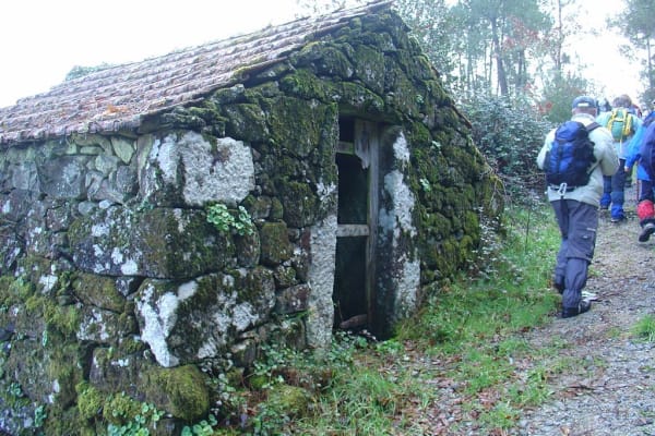 Foto 55 da atividade Galeria de Fotos