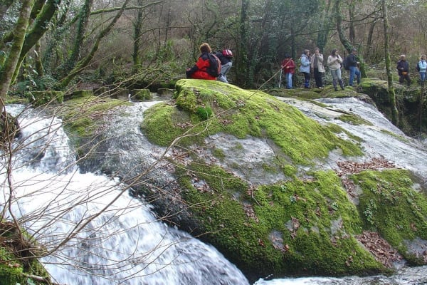 Foto 27 da atividade Galeria de Fotos