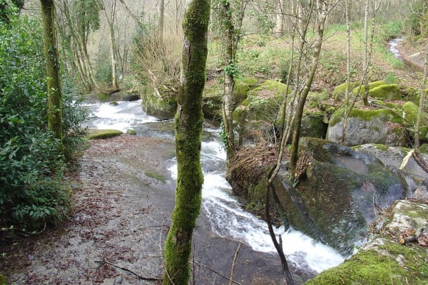 Foto 22 da atividade Galeria de Fotos