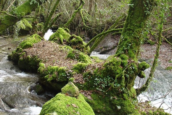 Foto 21 da atividade Galeria de Fotos