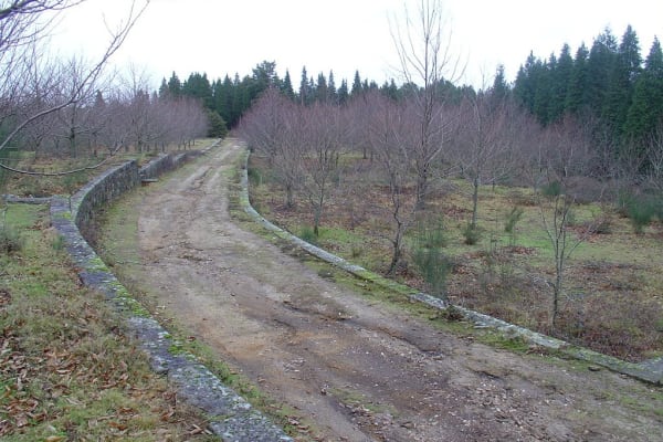 Foto 19 da atividade Galeria de Fotos