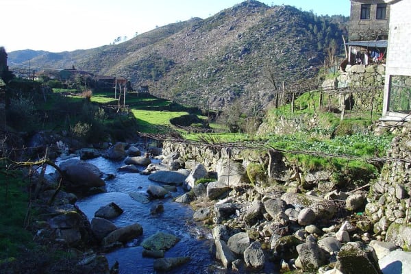 Foto 69 da atividade Galeria de Fotos