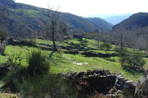 Foto 62 da atividade Galeria de Fotos