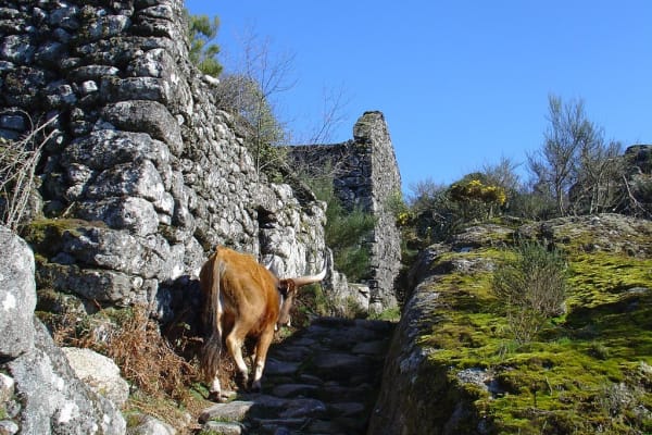 Foto 57 da atividade Galeria de Fotos