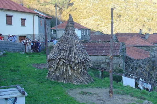 Foto 40 da atividade Galeria de Fotos