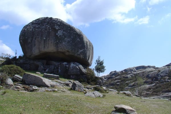 Foto 28 da atividade Galeria de Fotos