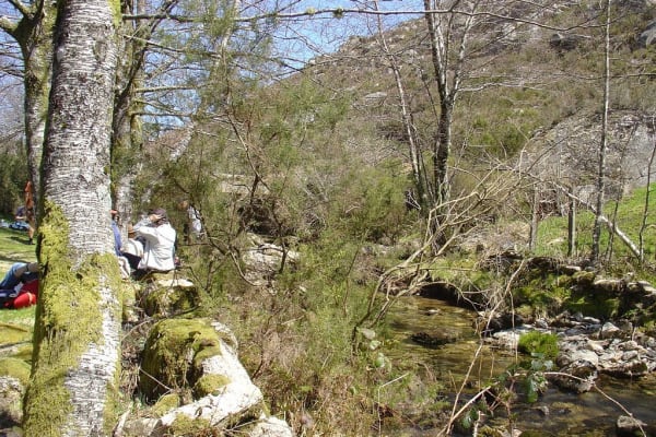 Foto 6 da atividade Galeria de Fotos