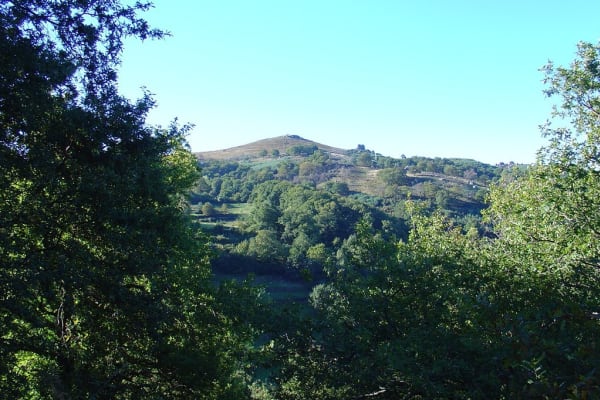 Foto 85 da atividade Galeria de Fotos