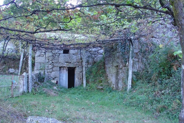 Foto 81 da atividade Galeria de Fotos