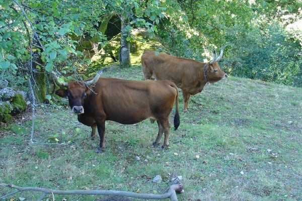 Foto 82 da atividade Galeria de Fotos