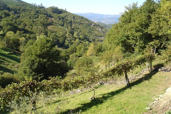 Foto 75 da atividade Galeria de Fotos