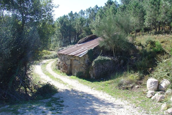 Foto 62 da atividade Galeria de Fotos