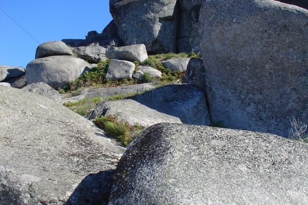 Foto 56 da atividade Galeria de Fotos