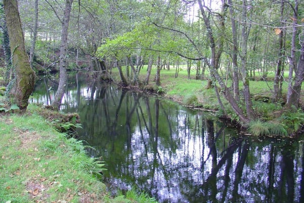 Foto 33 da atividade Galeria de Fotos