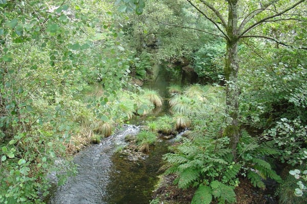 Foto 31 da atividade Galeria de Fotos