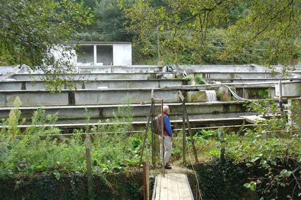 Foto 28 da atividade Galeria de Fotos