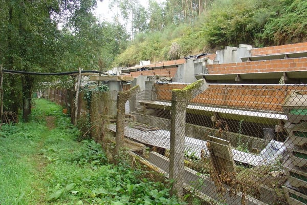 Foto 24 da atividade Galeria de Fotos