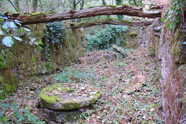 Foto 18 da atividade Galeria de Fotos