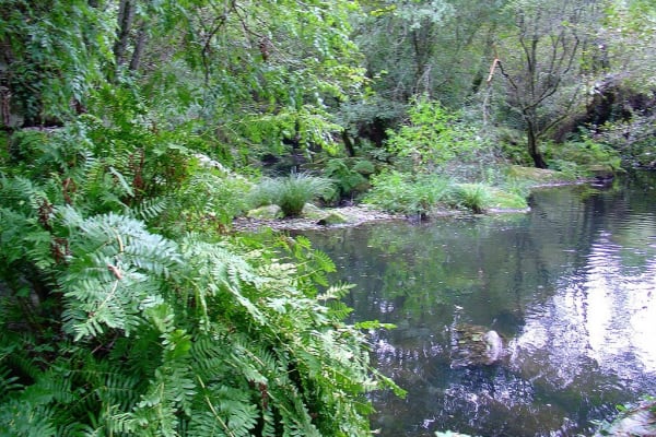 Foto 19 da atividade Galeria de Fotos