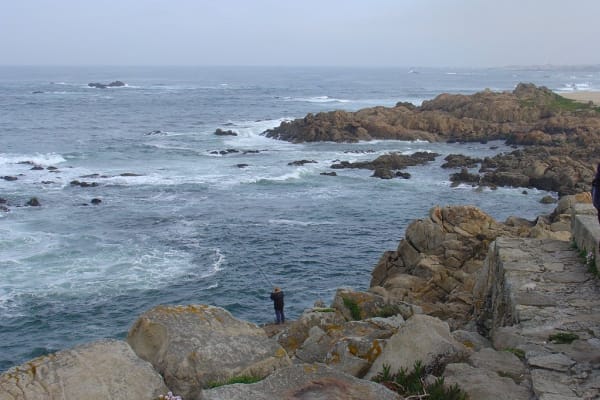 Foto 183 da atividade Galeria de Fotos