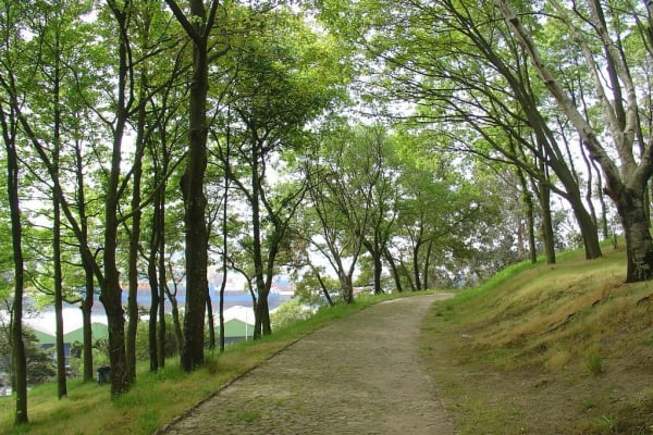 Foto 171 da atividade Galeria de Fotos