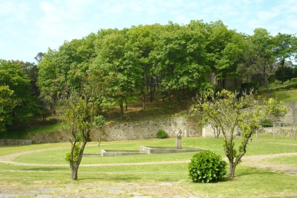 Foto 169 da atividade Galeria de Fotos