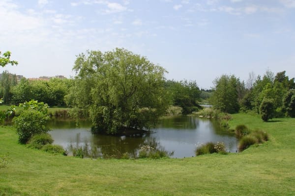 Foto 152 da atividade Galeria de Fotos