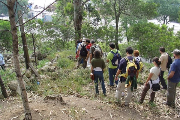 Foto 111 da atividade Galeria de Fotos