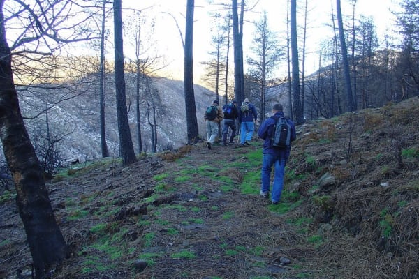 Foto 70 da atividade Galeria de Fotos